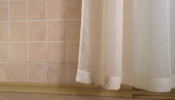 Trusted Eastlawn Gardens, PA Mold Removal Experts