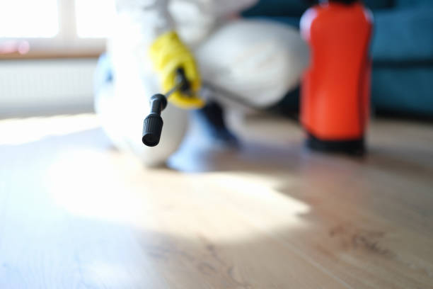 Best Air Quality Testing for Mold Spores  in Eastlawn Gardens, PA